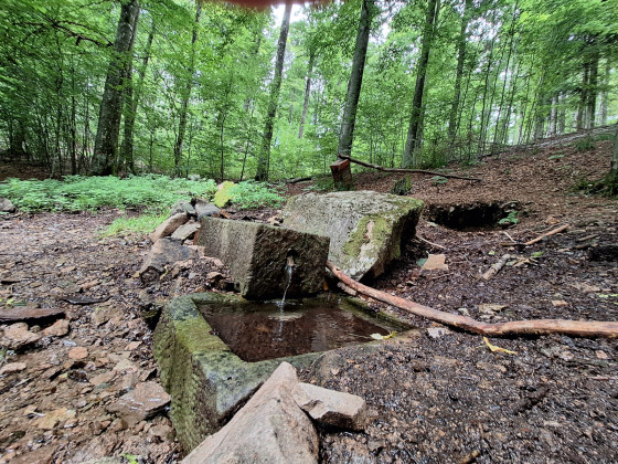 La source de l'Andlau