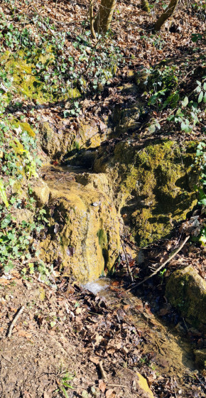 La source de l'Oubli