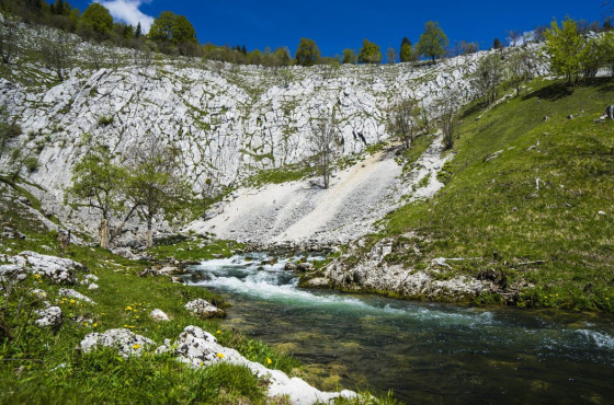 La Source de la Saine à Foncine-le-Haut