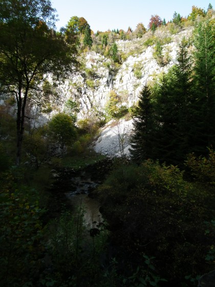 La source de la Saine