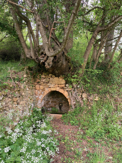 La source des Petits