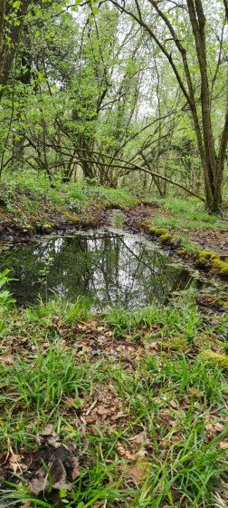 La source des saumeurs.