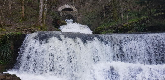 La source du Martinet