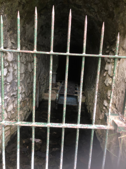 La source du Mirail La source du Mirail