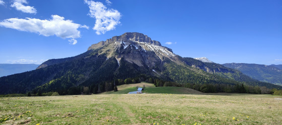 la splendeur de la chartreuse