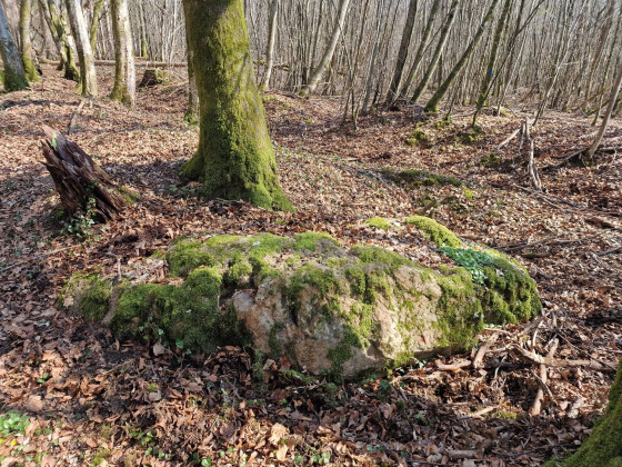 La table des Fées