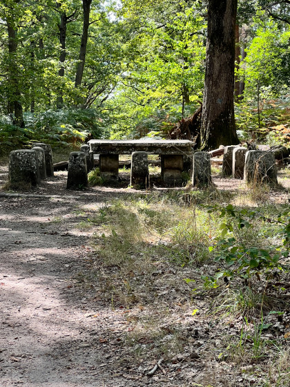 La table du roi