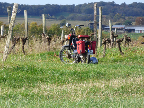 la taille des vignes en v&eacute;hicule r&eacute;tro...
