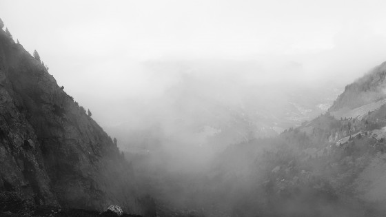 La tête dans la brume