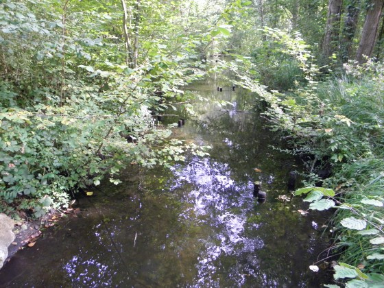 La th&egrave;ve