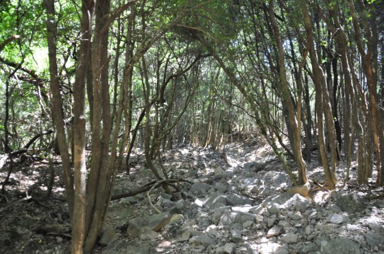 La Tiourre à sa source