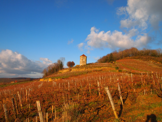 La Tour de Curon