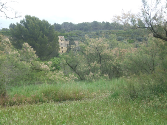La tour de Safre