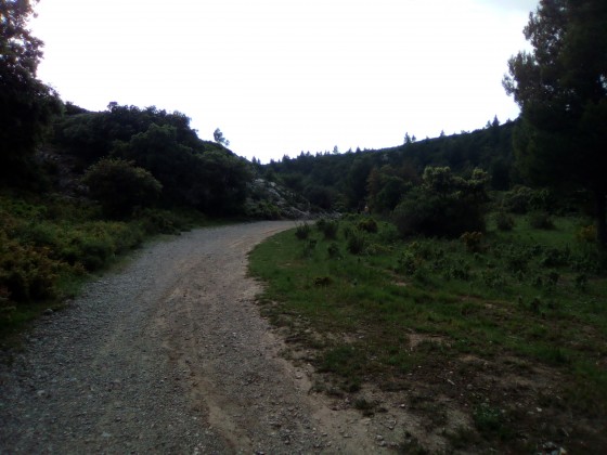 la tour des opies