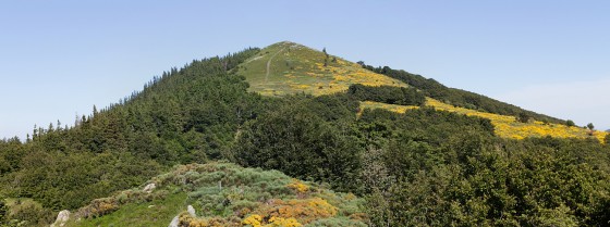 La Tour des Poignets
