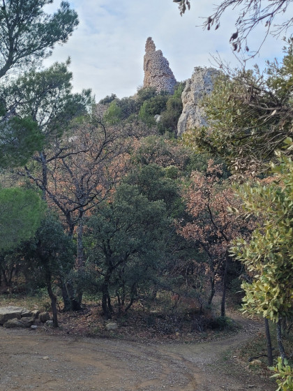 La Tour Sarrasine