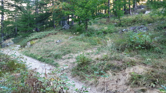1 - La trace à suivre