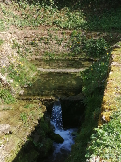 La très belle source de la Reyssouze