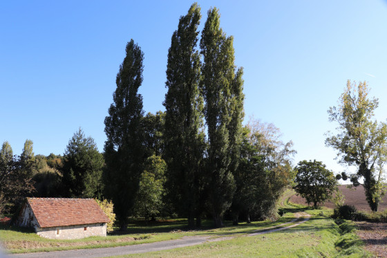 La Tuilerie, près de Luçay-le-Mâle