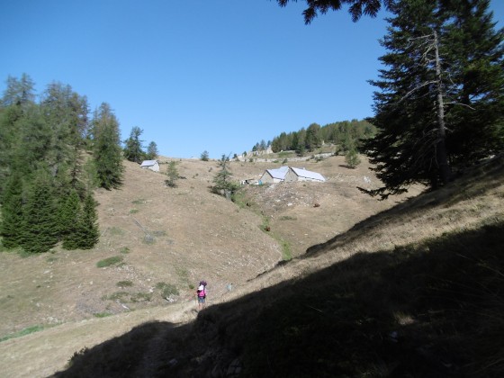 La vacherie des Cabanes Vieilles