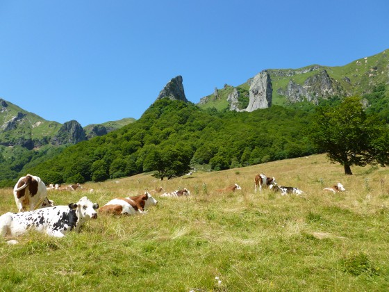 La vallée de Chaudefour
