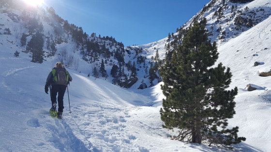 La Vallée de Gaube vers les Oulettes
