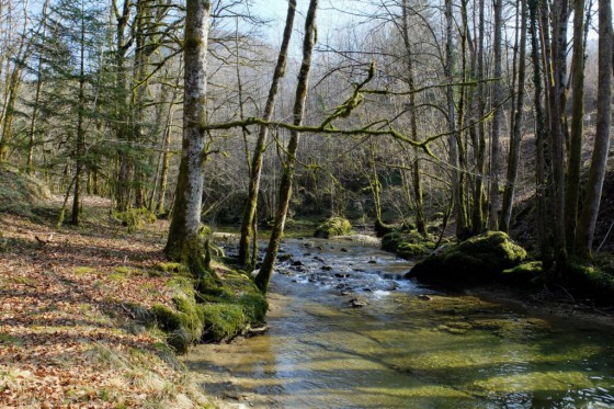 La Vallée de la Brême