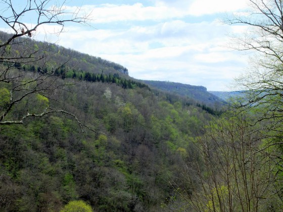 La Vallée de la Brême