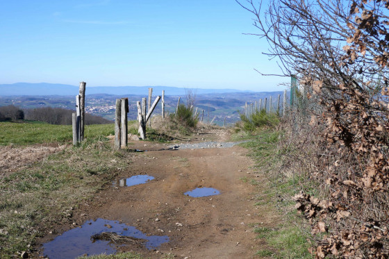 La vallée de la Brévenne