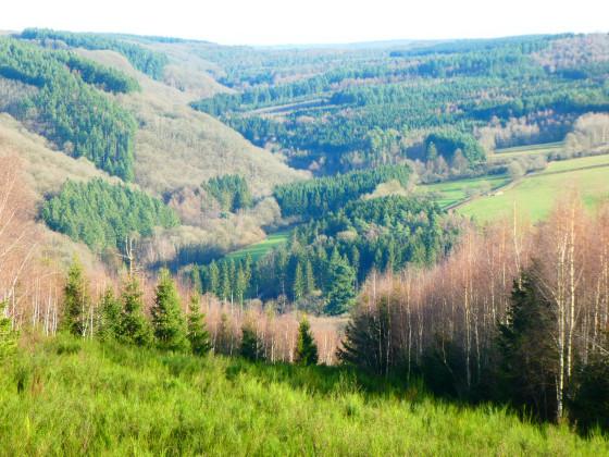 La vallée de la Lesse