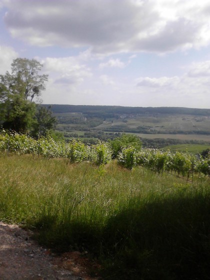 La Vallée de la Marne
