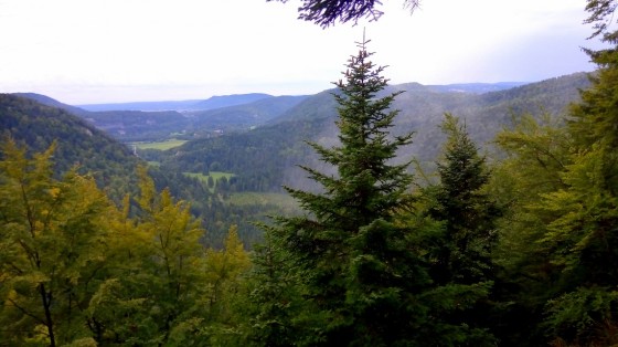 La vallée de la Saine