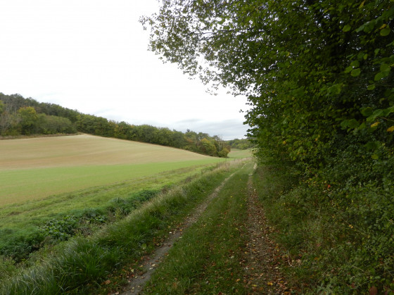 La vallée de la Taupe
