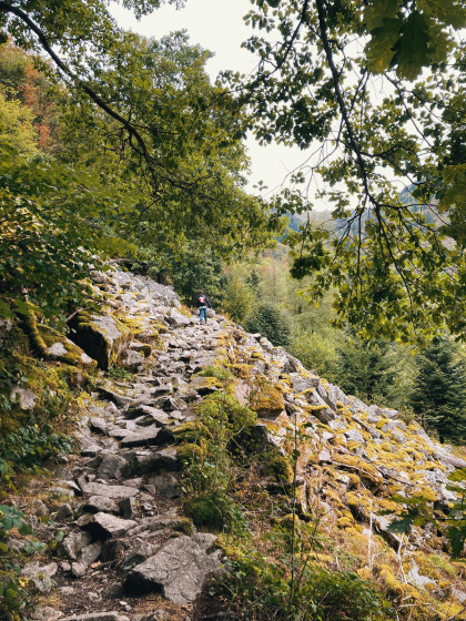 La vallée de la Wormsa