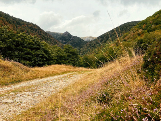 La vallée de la Wormsa