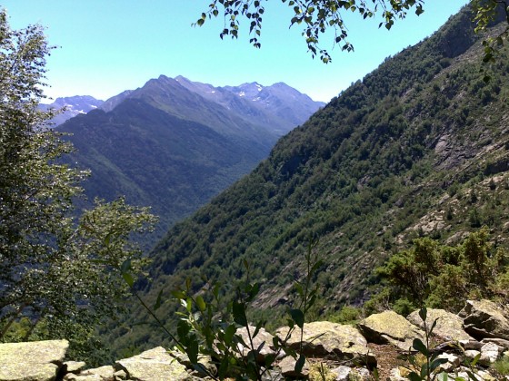 La vallée du ruisseau de Vicdessos