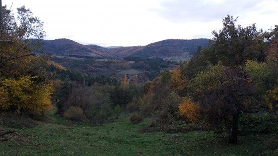La vallée du Furon