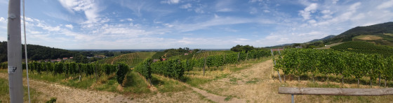 la vall&eacute;e du Rhin