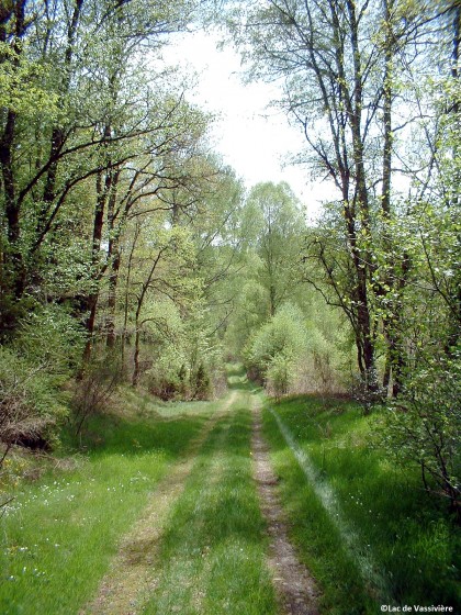 Chemin du Puy Blanc