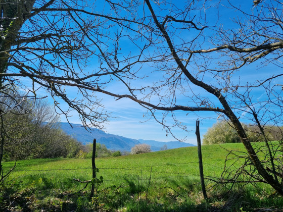 La vie en vert et bleu !