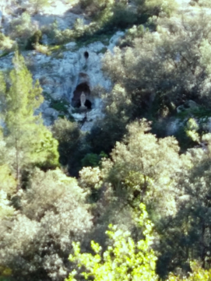 La Vierge de Cruque