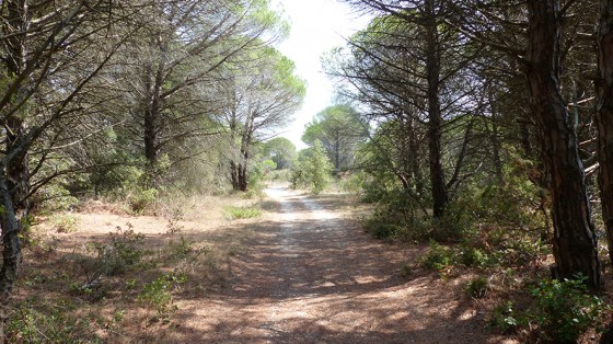 La voie qui part du cimetière