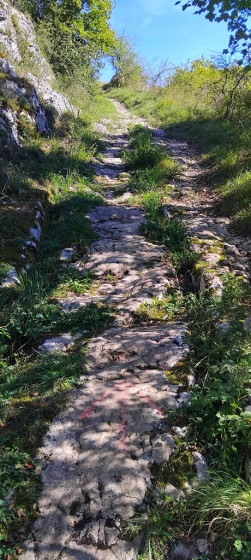 La voie romain du sentier du Sert