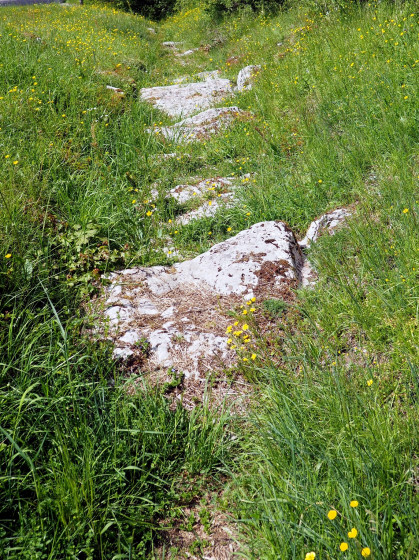 La voie romaine de Trois Châtels