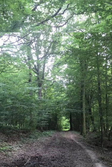 La voie romaine