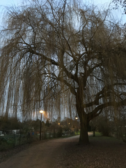 La voie verte des Viennes