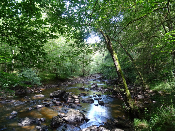 la Voueize