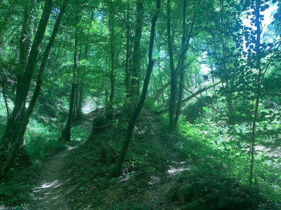Nature
