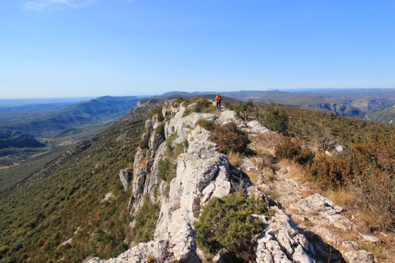 La vue de l\'aigle !
