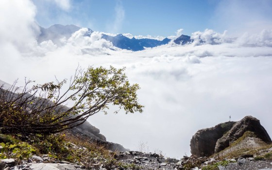La vue